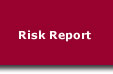 Prymak Financial Risk Report